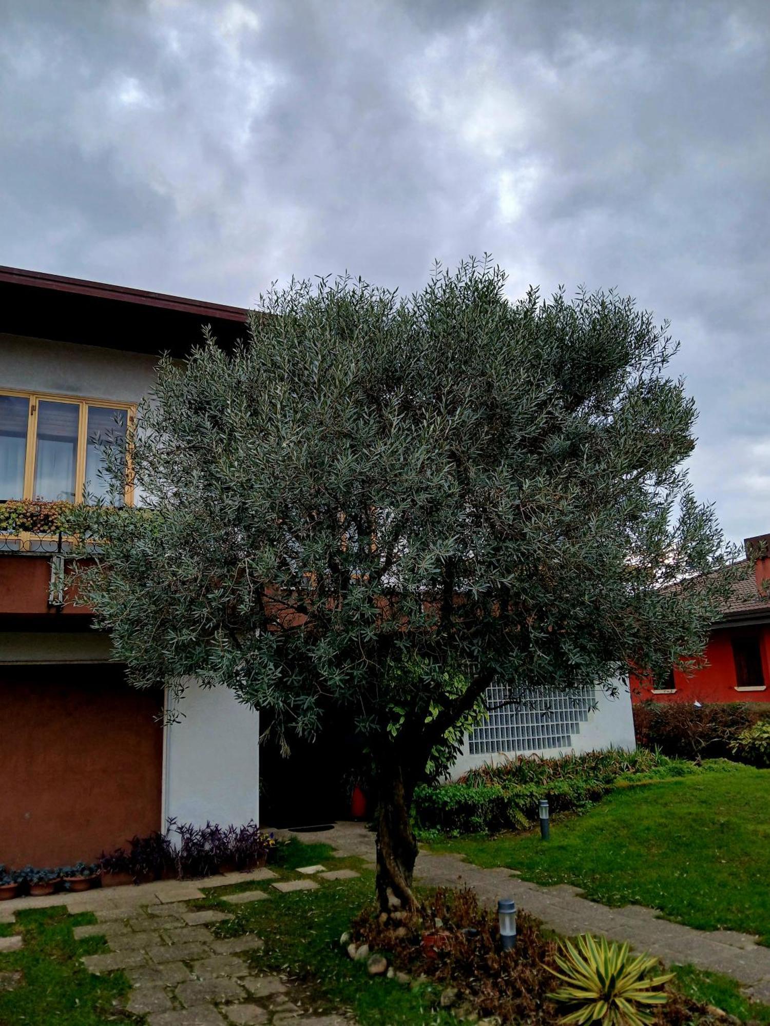 B&B Ponte Marchese Caldogno Exterior foto